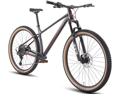 Превью  Велосипед HAGEN 3.10 29 Black Metal (2025)